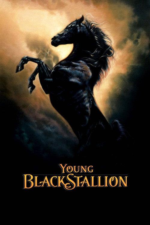 Young Black Stallion 2003 official movie poster
