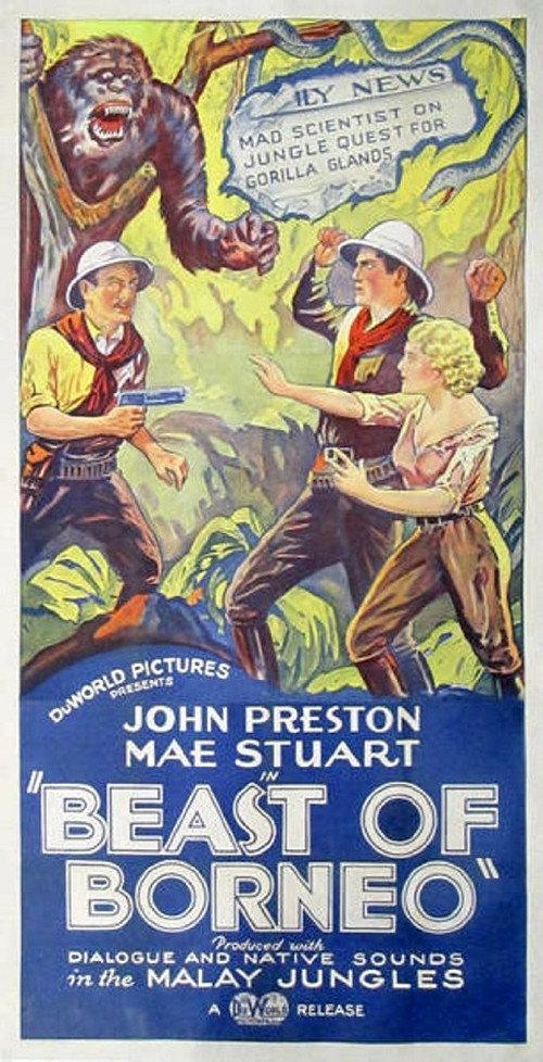 The Beast of Borneo 1934 official movie poster