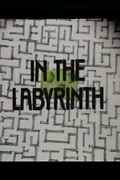 In the Labyrinth 1976 official movie poster