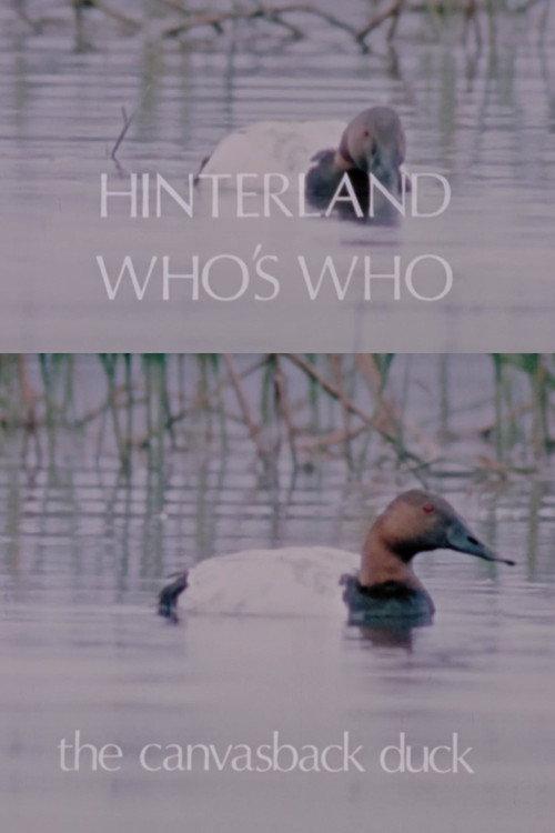 Hinterland Who's Who: The Canvasback Duck 1973 official movie poster