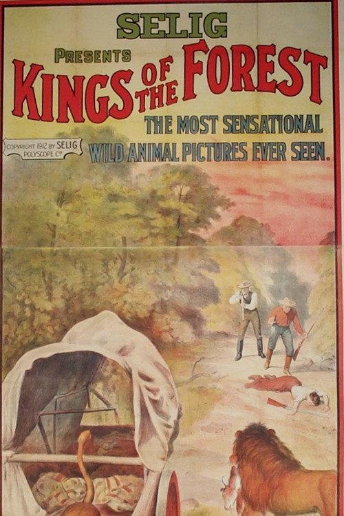Kings of the Forest 1912 official movie poster