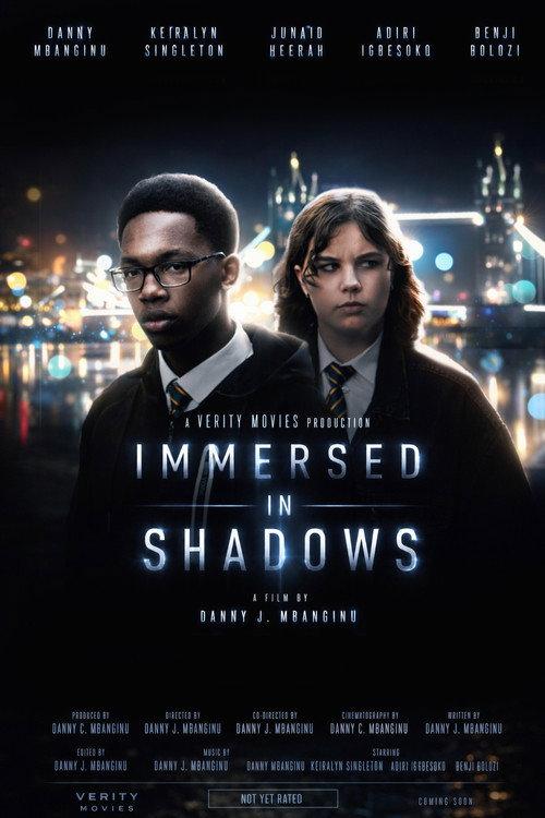 Immersed in Shadows 2026 official movie poster