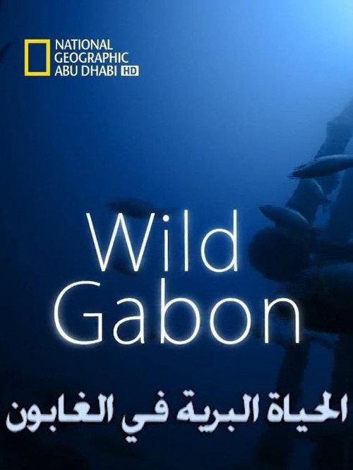 Wild Gabon 2014 official movie poster