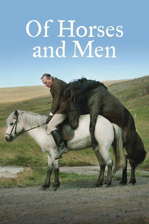 Of Horses and Men 2013 official movie poster