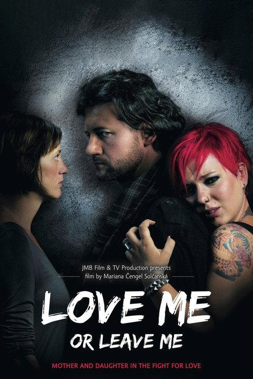 Love Me or Leave Me 2013 official movie poster