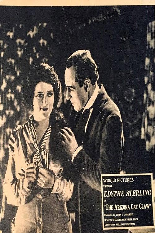 The Arizona Cat Claw 1919 official movie poster