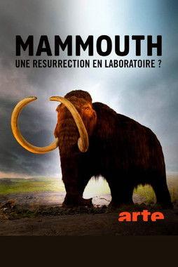 Ein Mammut-Projekt – Wiedergeburt ausgestorbener Arten 2024 official movie poster