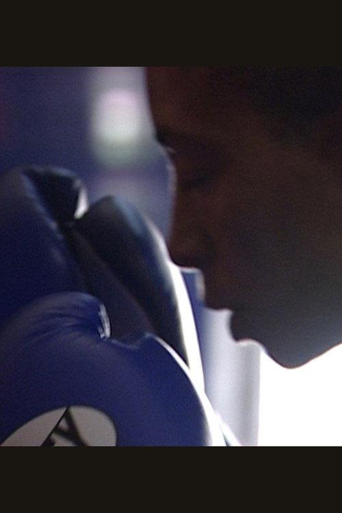 A Knock Out 2006 official movie poster