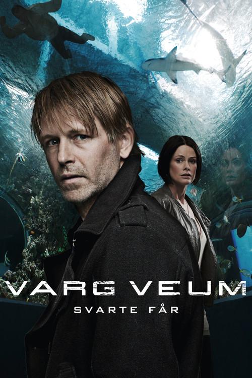 Varg Veum - Black Sheep 2011 official movie poster