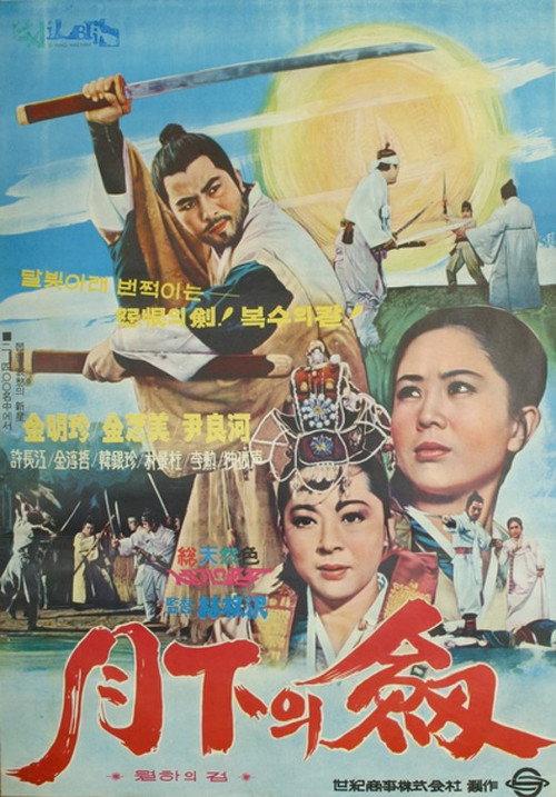 A Sword Under the Moon 1970 official movie poster