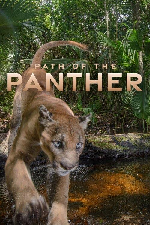 Path of the Panther 2022 official movie poster