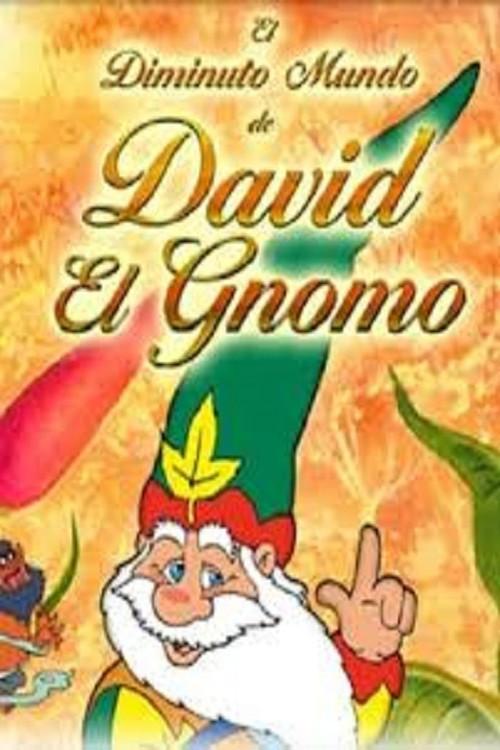 The Tiny Little World of David The Gnome 1995 official movie poster