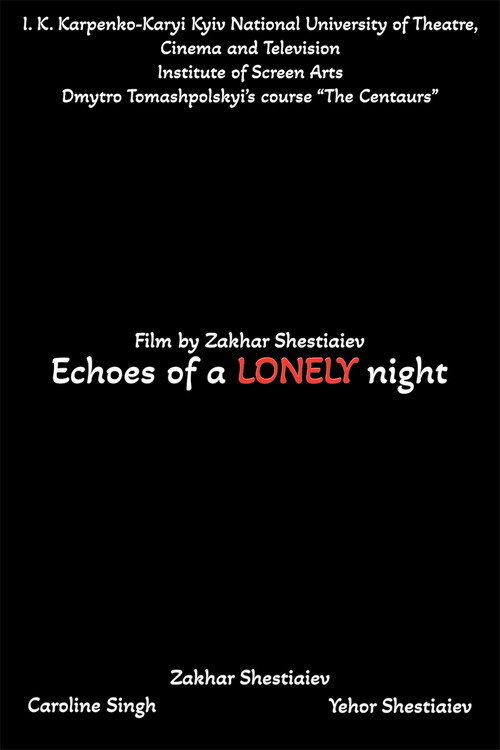 Echoes of a LONELY night 2024 official movie poster