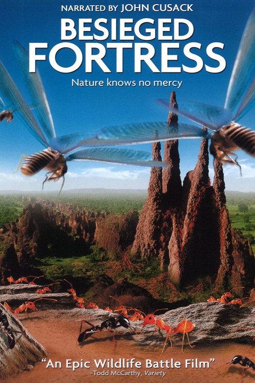 The Besieged Fortress 2006 official movie poster