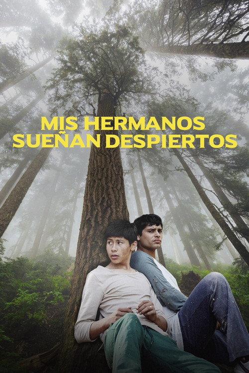 My Brothers Dream Awake 2021 official movie poster