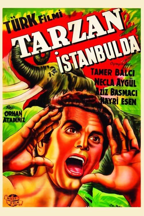 Tarzan in Istanbul 1952 official movie poster