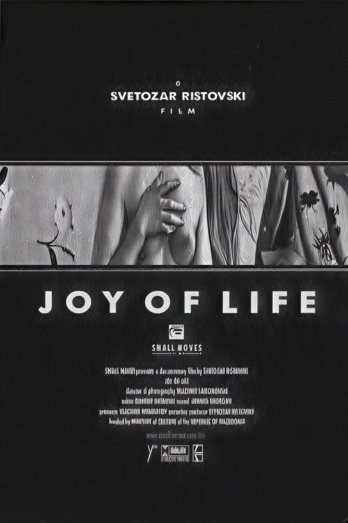Joy of Life 2001 official movie poster