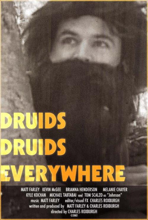 Druids Druids Everywhere 2004 official movie poster