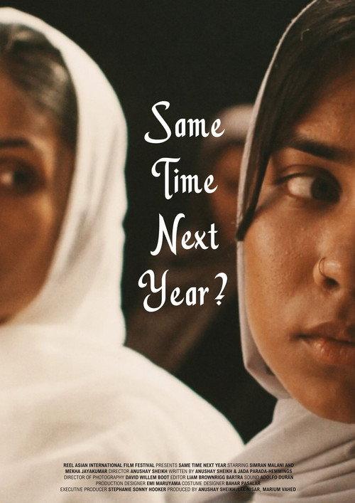 Same Time Next Year? 2025 official movie poster