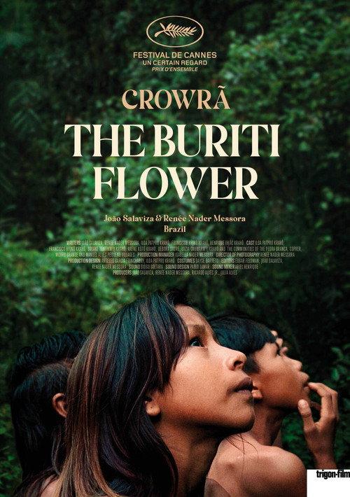 The Buriti Flower 2024 official movie poster