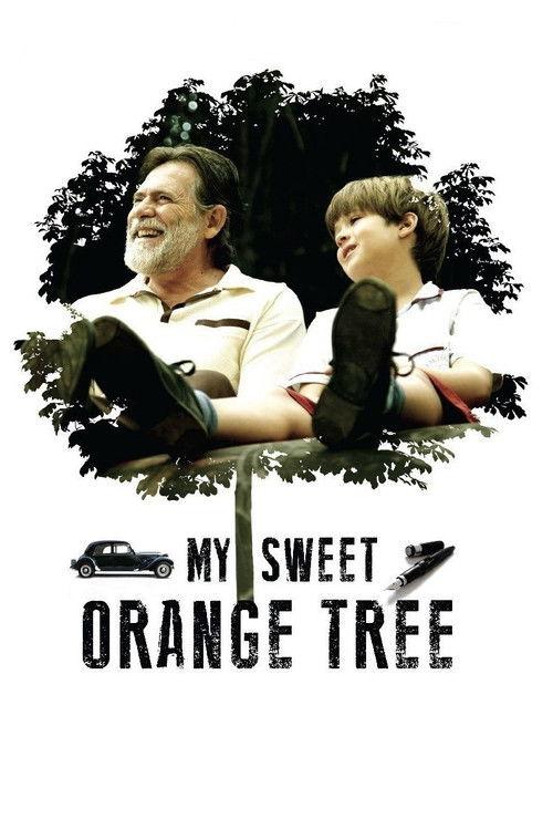 My Sweet Orange Tree 2012 official movie poster