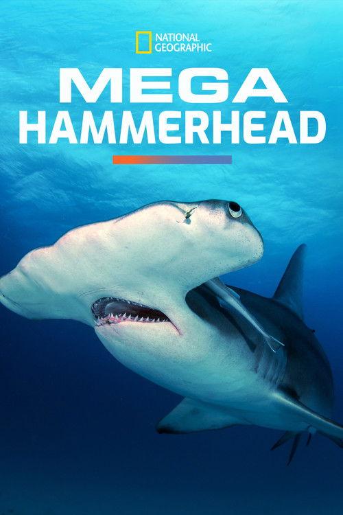 Mega Hammerhead 2016 official movie poster