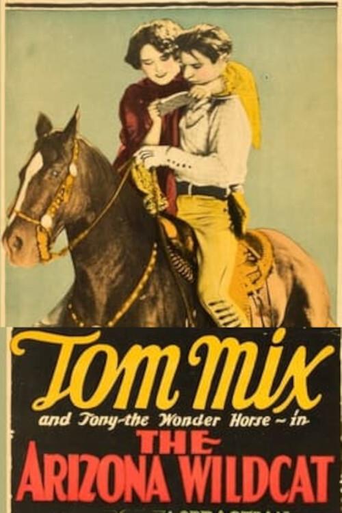 The Arizona Wildcat 1927 official movie poster