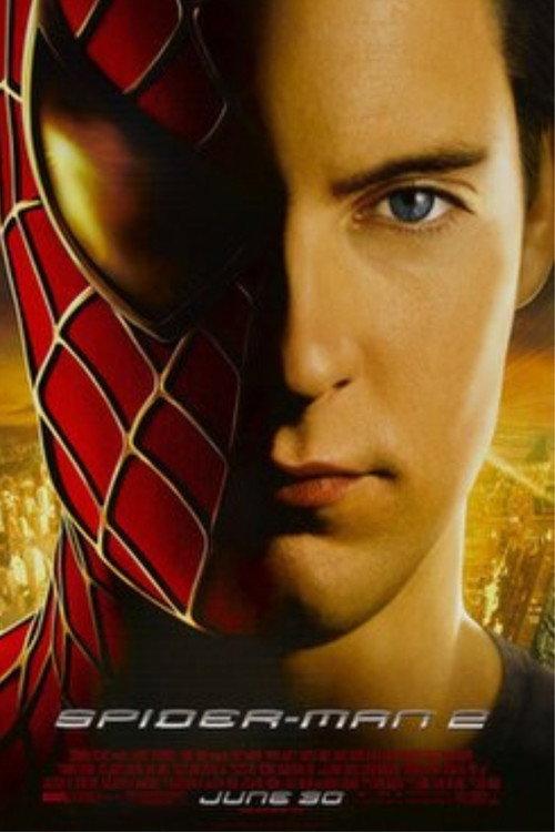 Hero in Crisis 2004 official movie poster