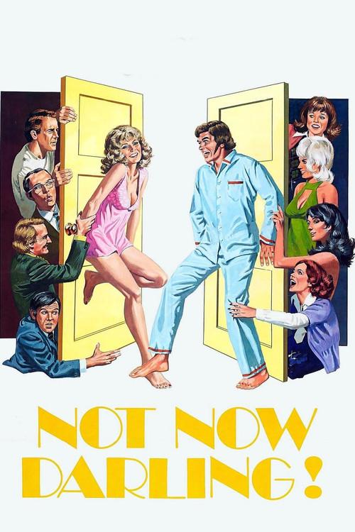 Not Now Darling 1973 official movie poster
