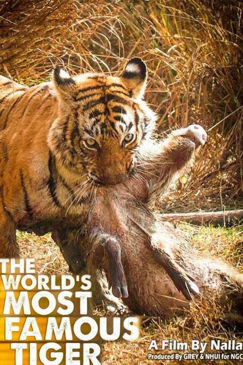 The World's Most Famous Tiger 2017 official movie poster