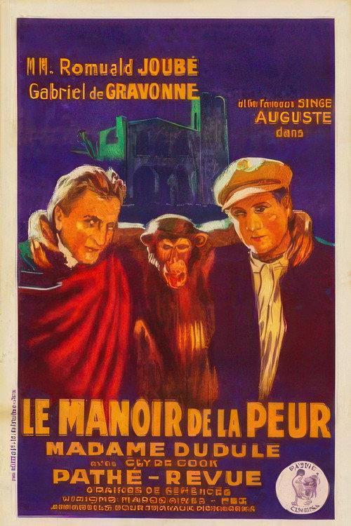 The Manor House of Fear 1927 official movie poster