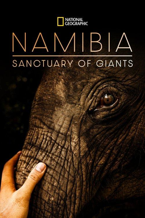 Namibia, Sanctuary of Giants 2017 official movie poster