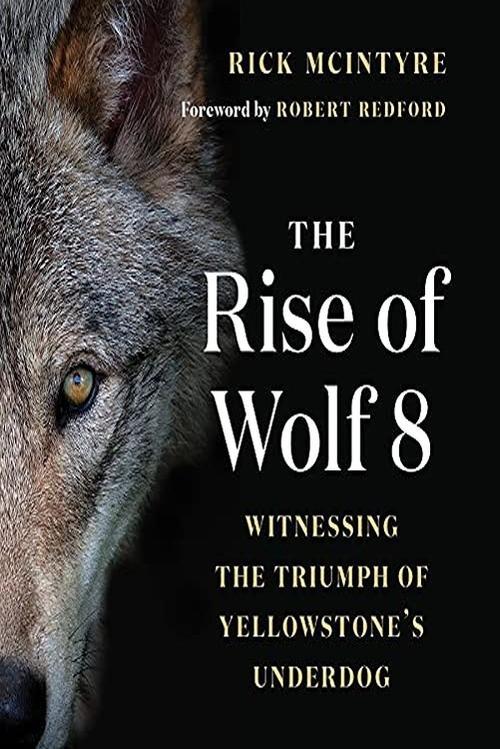 The Alpha Wolves of Yellowstone official movie poster