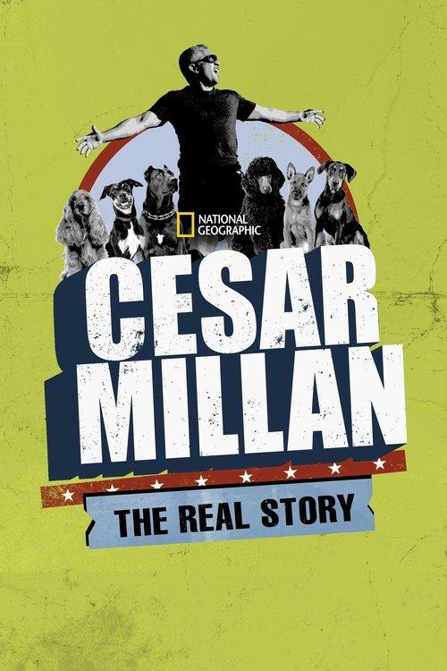 Cesar Millan: The Real Story 2012 official movie poster