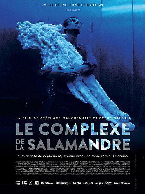 Le Complexe de la salamandre 2015 official movie poster