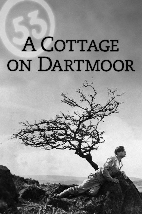 A Cottage on Dartmoor 1929 official movie poster