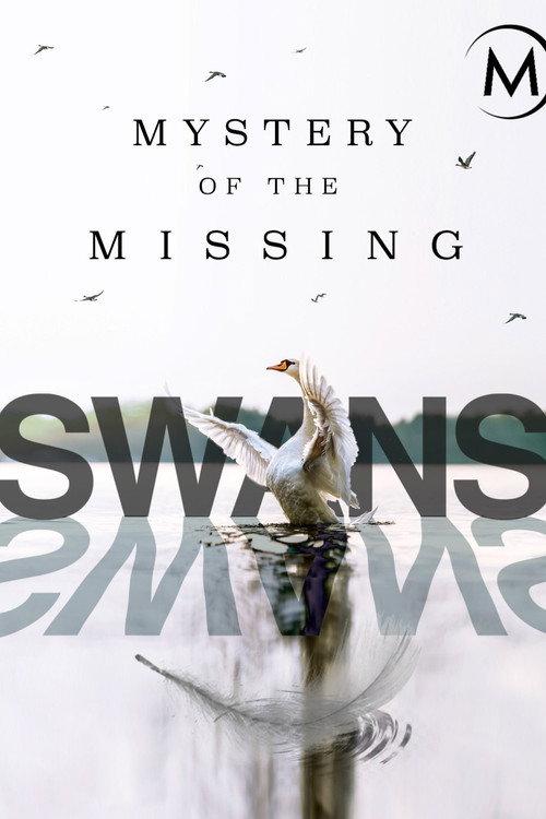 Swans: Mystery of the Missing 2019 official movie poster