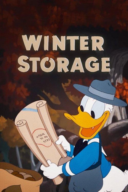 Winter Storage 1949 official movie poster