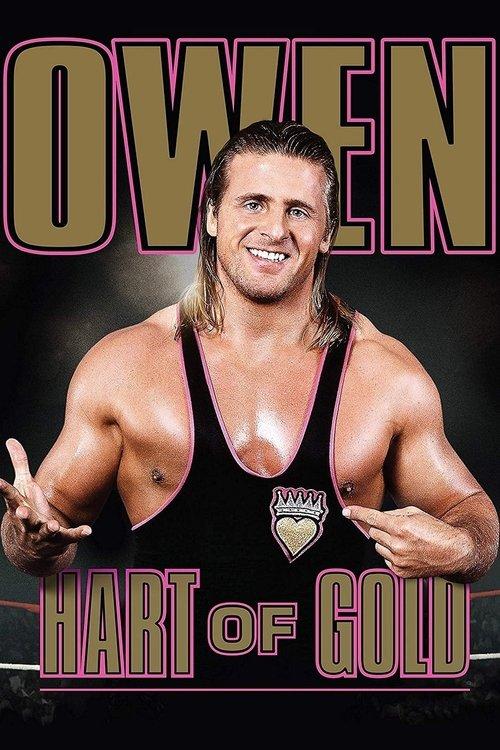 Owen: Hart of Gold 2015 official movie poster