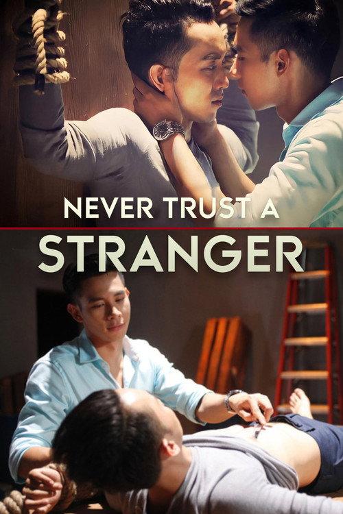 Never Trust a Stranger 2015 official movie poster
