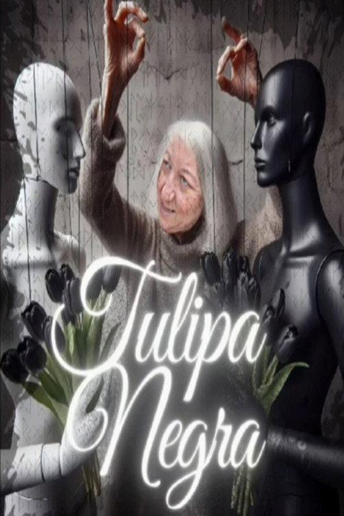 Tulipa Negra 2024 official movie poster