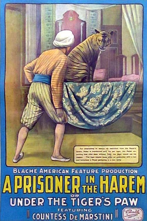 A Prisoner in the Harem 1913 official movie poster