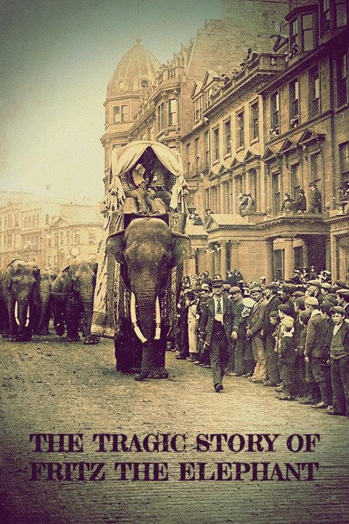 The Tragic Story of Fritz the Elephant 2023 official movie poster
