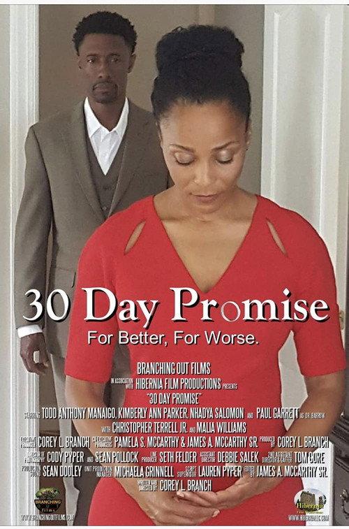 30 Day Promise 2017 official movie poster