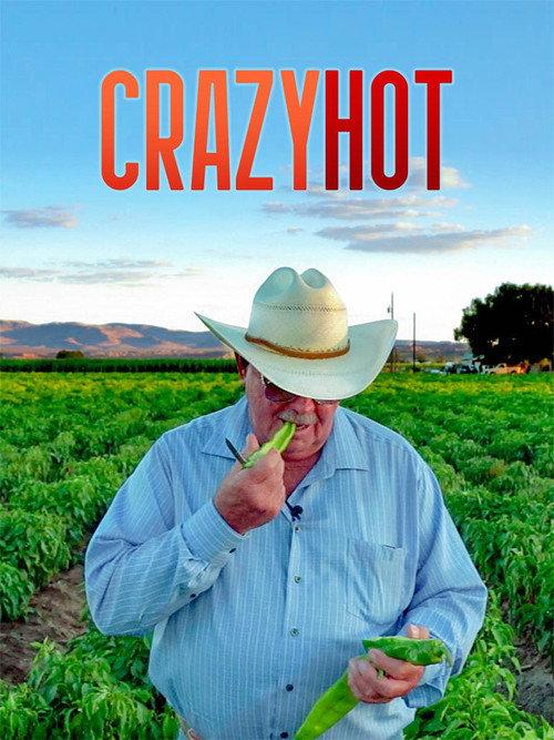 CrazyHot 2020 official movie poster