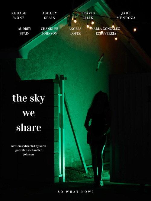 The Sky We Share 2024 official movie poster