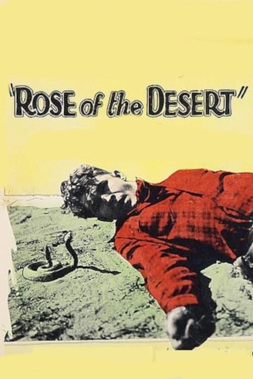 Rose of the Desert 1925 official movie poster