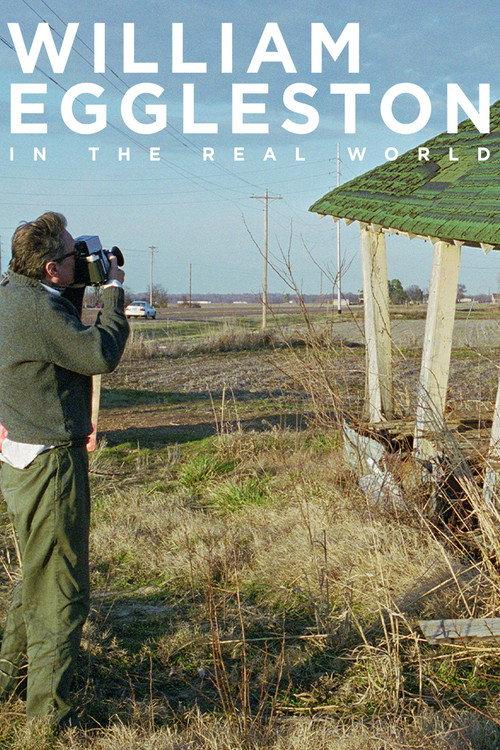 William Eggleston in the Real World 2005 official movie poster