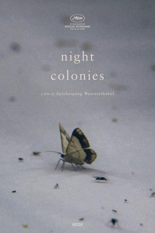 Night Colonies 2021 official movie poster