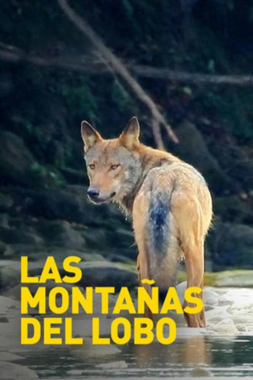 Mountains of the Wolf 2003 official movie poster